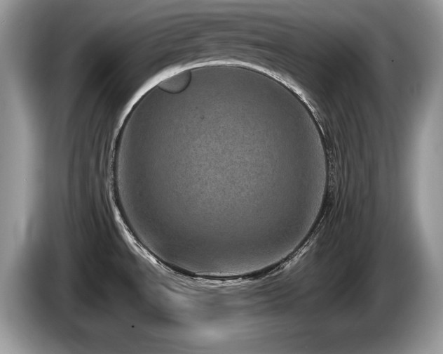 X0000087581534200704271256