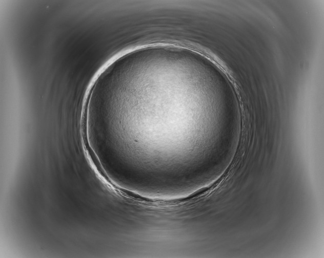 X0000087581536200704271256