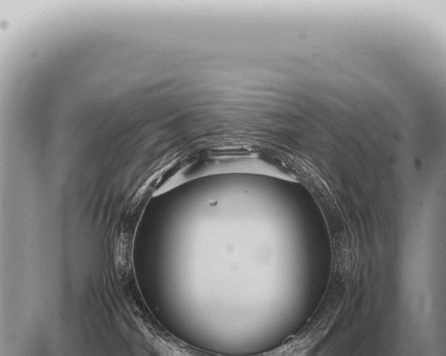 X0000087580044200705041454