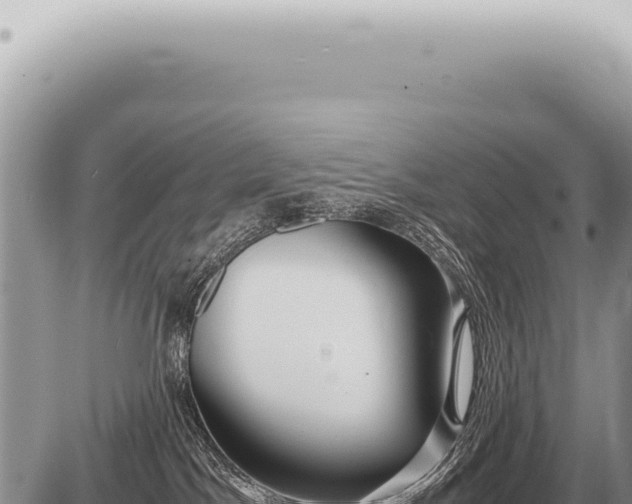 X0000087580045200705041454