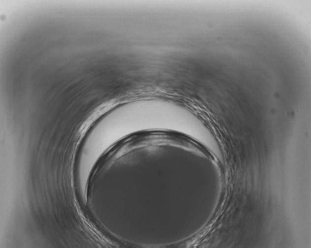 X0000087580054200705041453