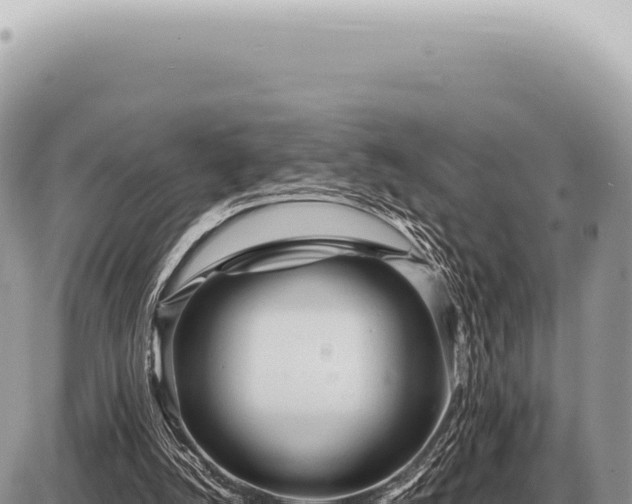 X0000087580056200705041453