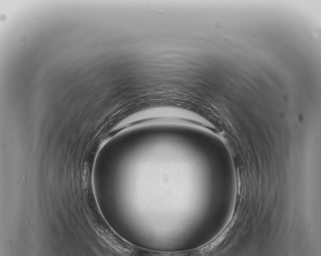 X0000087580174200705041452
