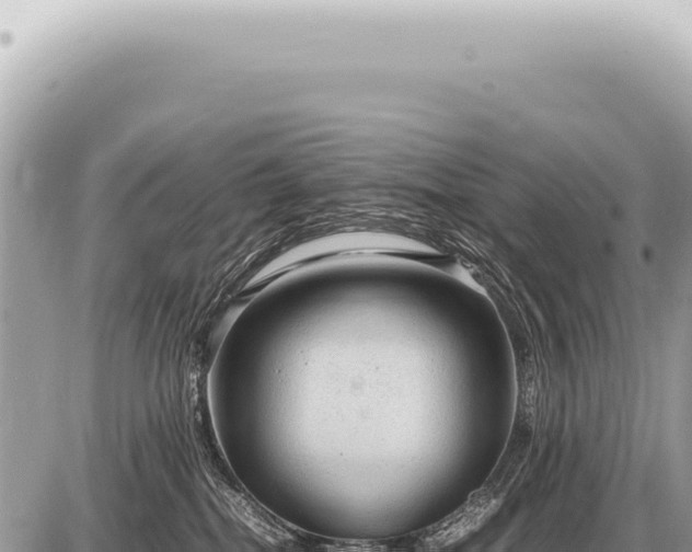 X0000087580282200705041451
