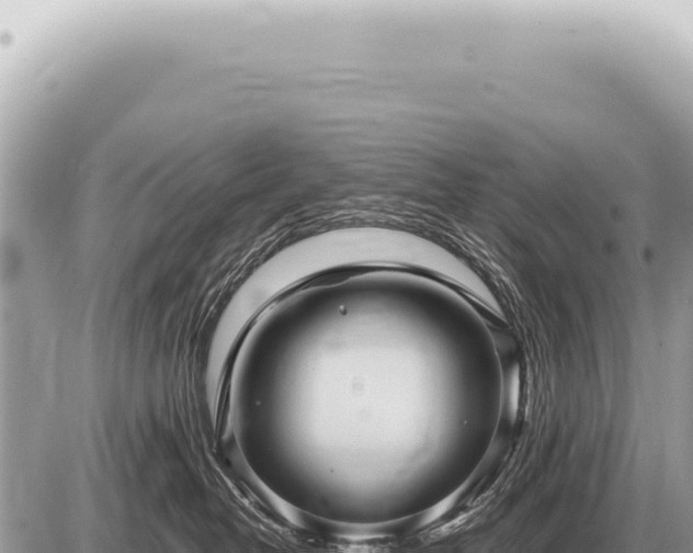 X0000087580382200705041449