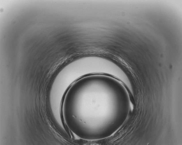 X0000087580452200705041447