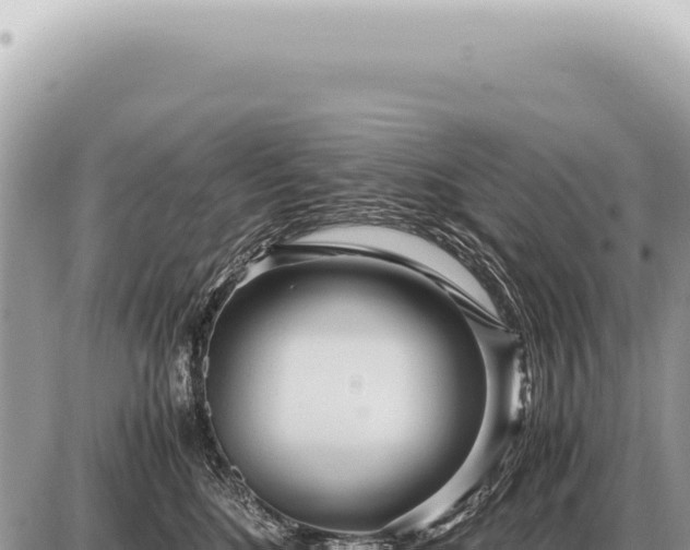 X0000087580520200705041446