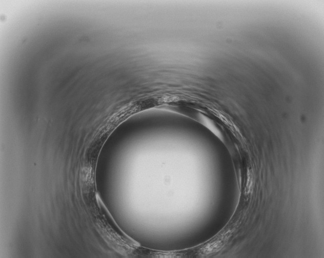 X0000087580521200705041446