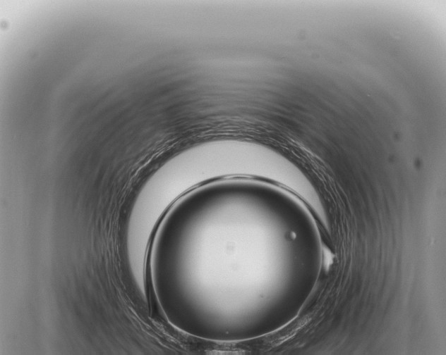 X0000087580556200705041446