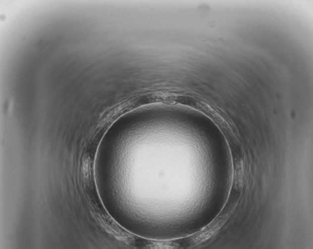 X0000087580623200705041445