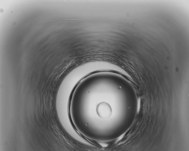 X0000087580712200705041443