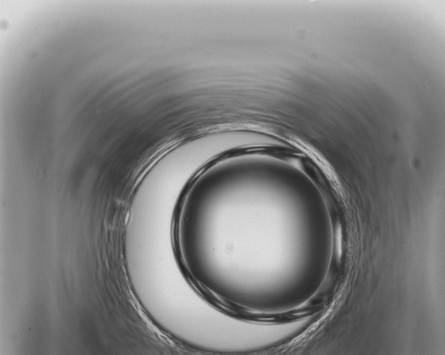 X0000087580809200705041442