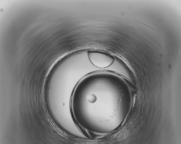 X0000087580832200705041441