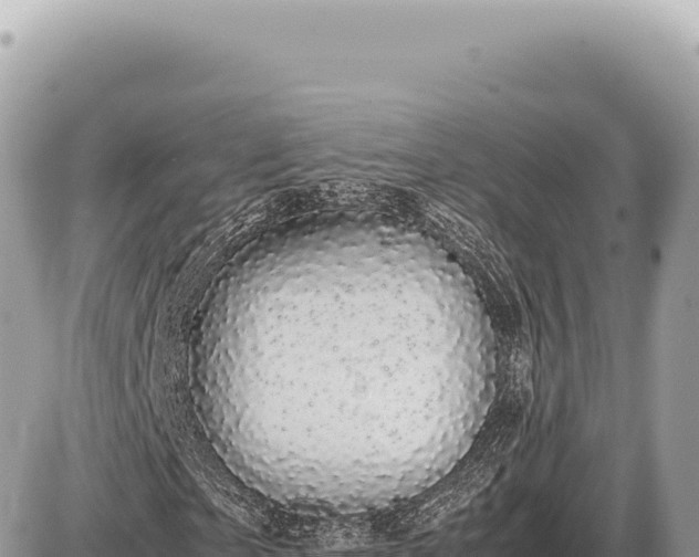 X0000087580865200705041441