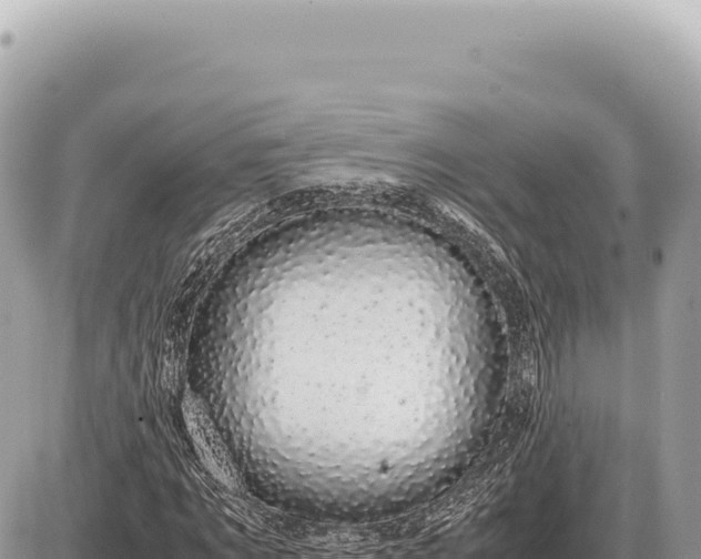 X0000087580869200705041441