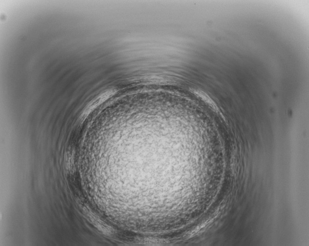 X0000087580873200705041441