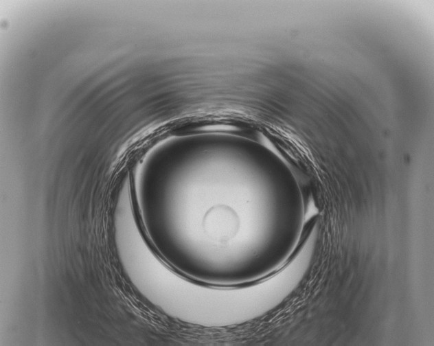 X0000087580920200705041439