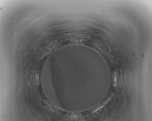 X0000087581013200705041438