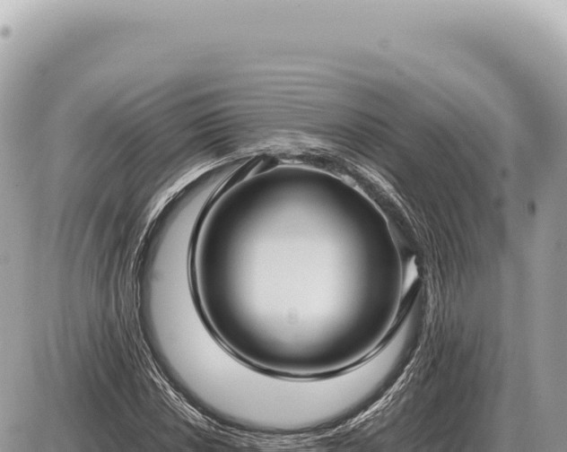 X0000087581018200705041438