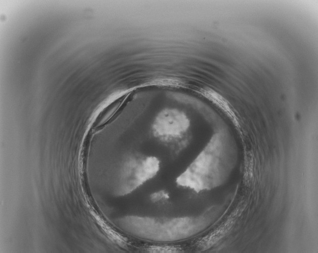 X0000087581037200705041438