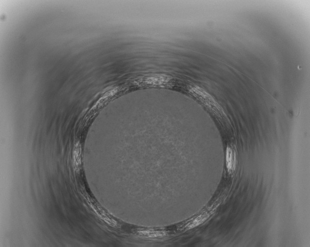 X0000087581107200705041436