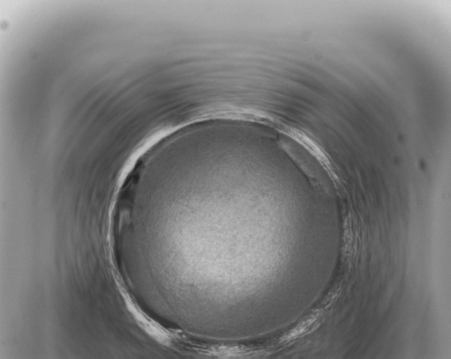 X0000087581128200705041436