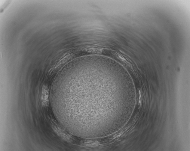 X0000087581154200705041436