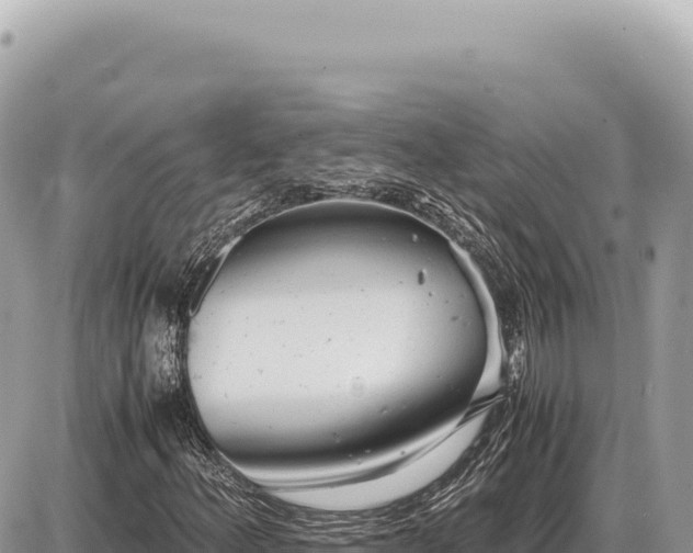 X0000087581156200705041436