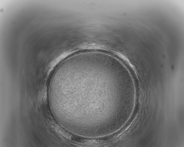 X0000087581167200705041436