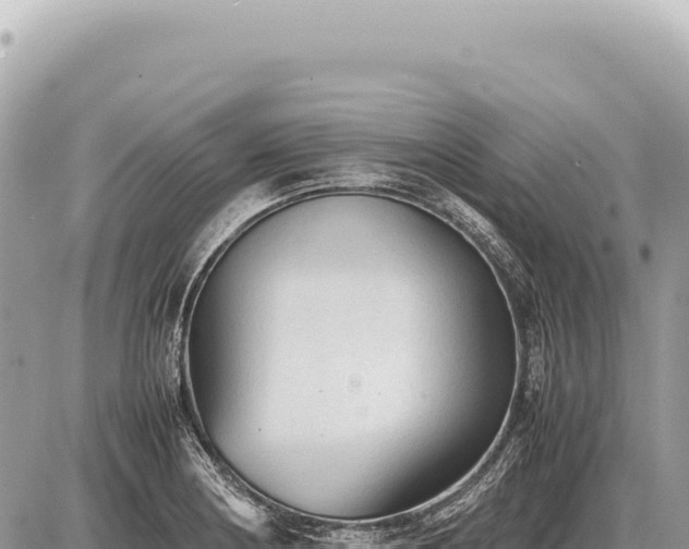 X0000087581178200705041436