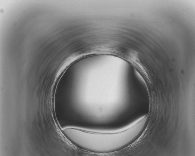 X0000087581192200705041435