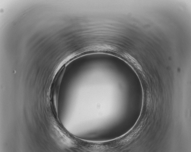 X0000087581226200705041435