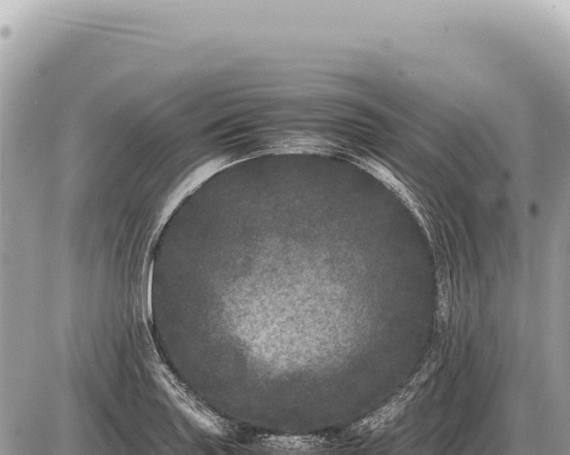 X0000087581227200705041435