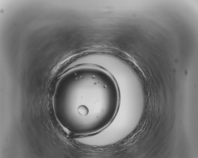 X0000087581304200705041433