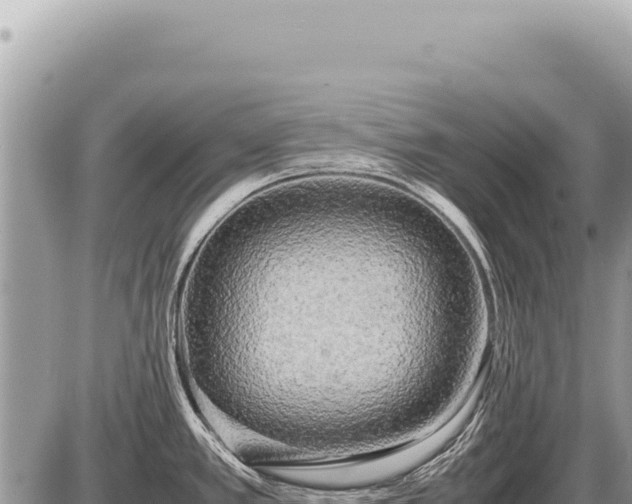 X0000087581389200705041432