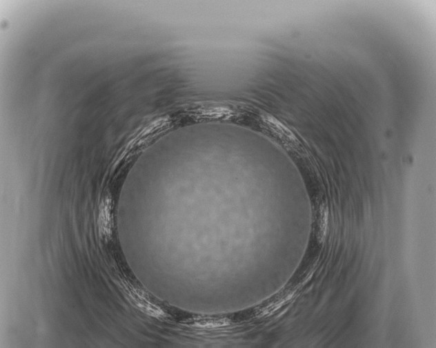X0000087581394200705041431