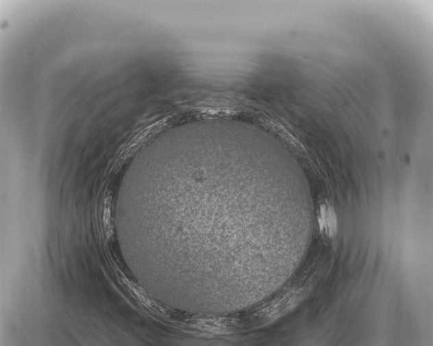X0000087581396200705041431
