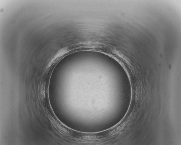 X0000087581451200705041431