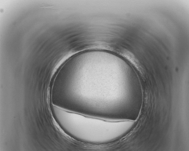 X0000087581468200705041431