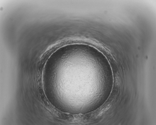 X0000087581494200705041430