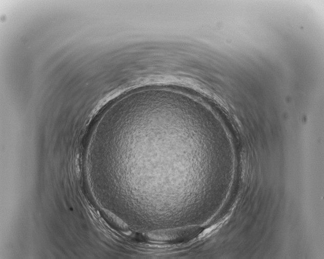 X0000087581497200705041430