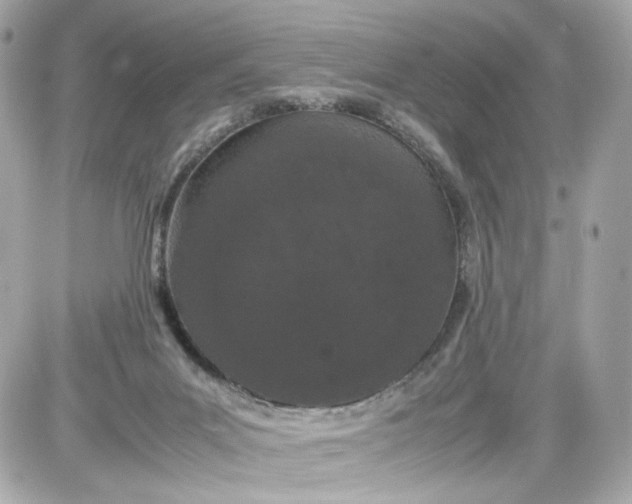 X0000087580023200705112249
