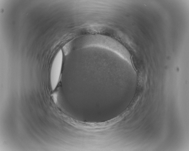 X0000087580027200705112249