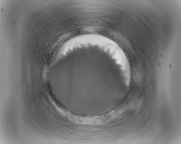 X0000087580036200705112249