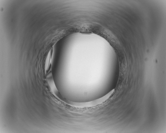 X0000087580037200705112249