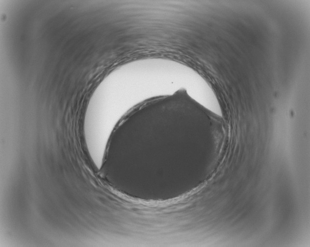 X0000087580039200705112249