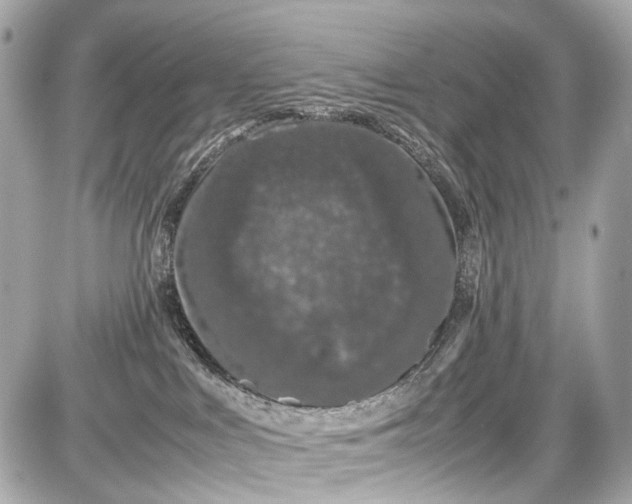 X0000087580043200705112249