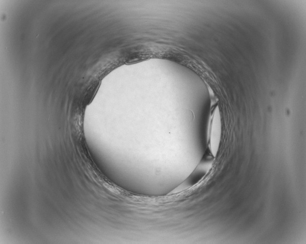 X0000087580045200705112249