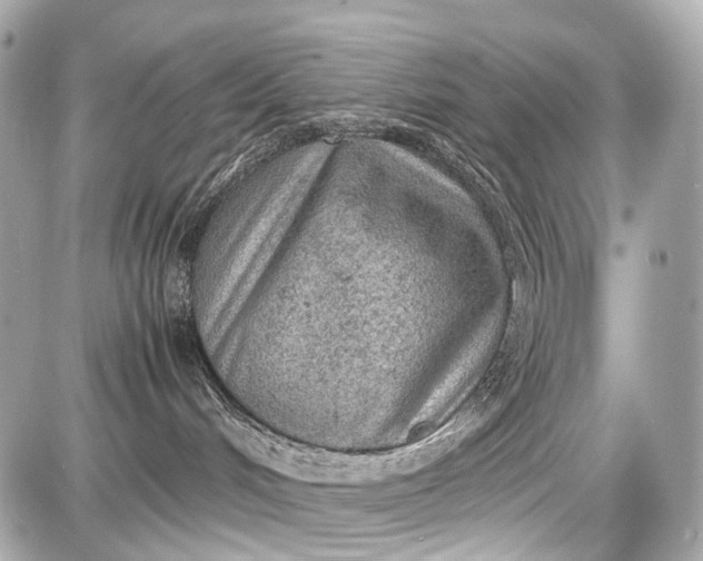 X0000087580048200705112249