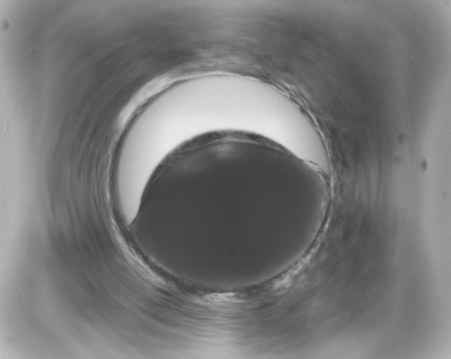 X0000087580054200705112248